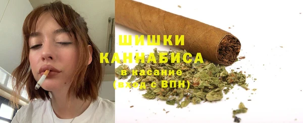 гидропоника Богданович