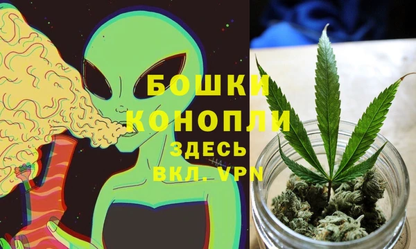 гидропоника Богданович