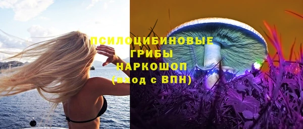 гидропоника Богданович
