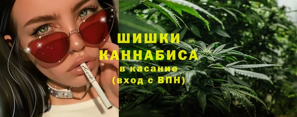 гидропоника Богданович