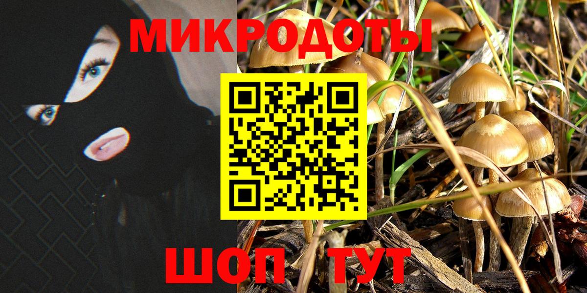 Псилоцибиновые грибы MAGIC MUSHROOMS Реж